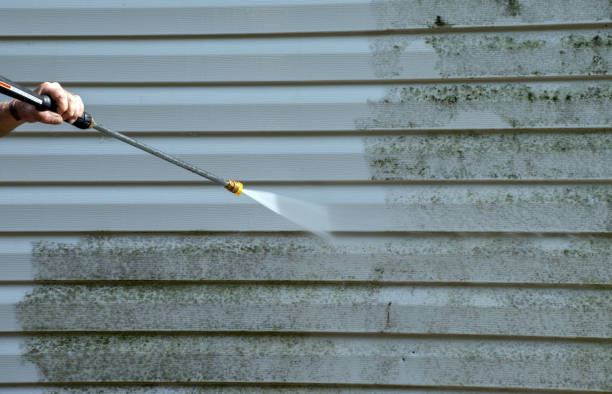 Best Spring Cleaning  in Bellefontaine, OH